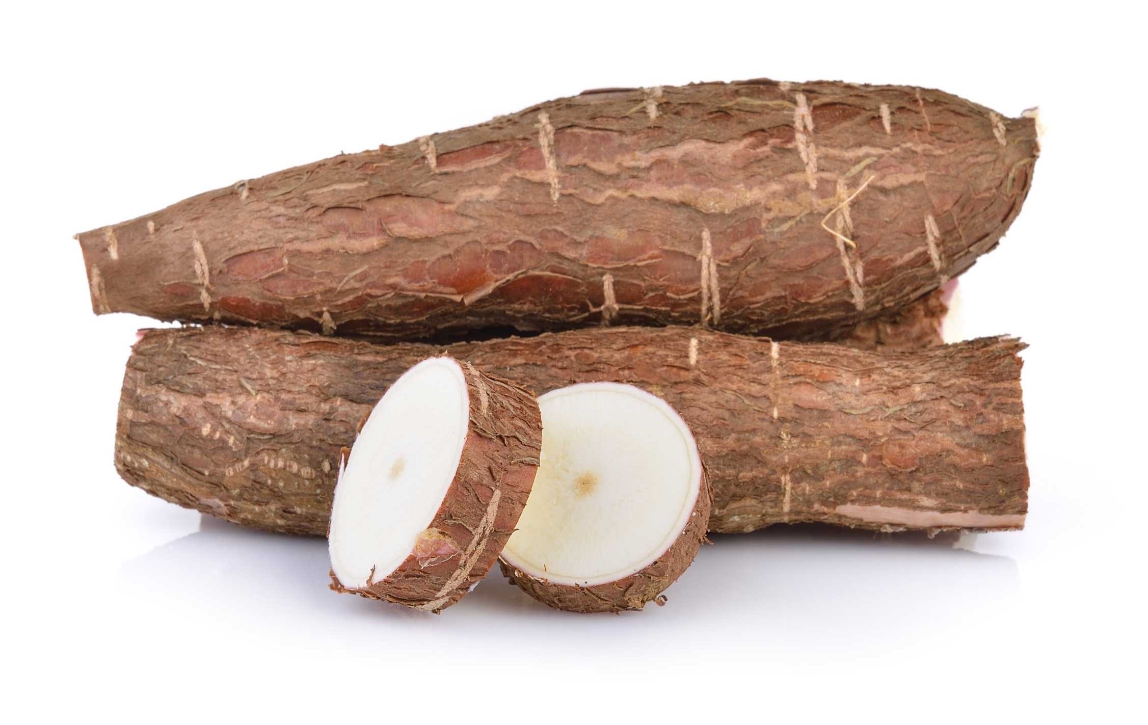 cassava qtl against cassava bacterial blight