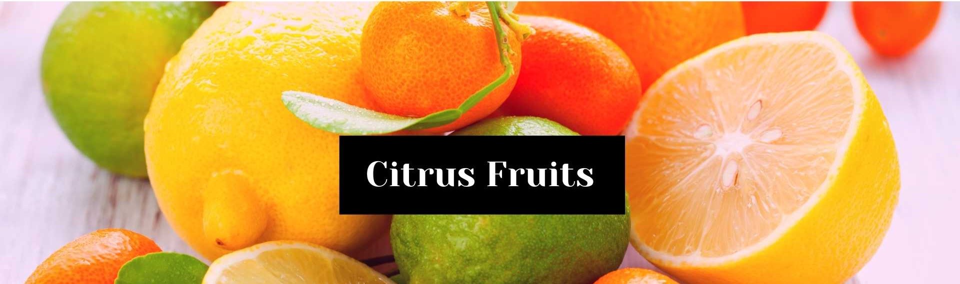 Citrus Fruits - Beyond Fruits Limited