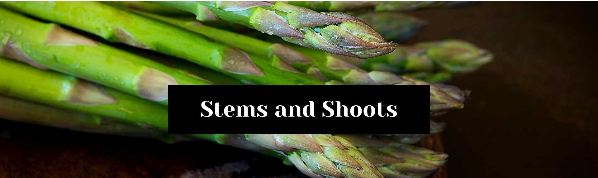 Stems And Shoots - Beyond Fruits Limited